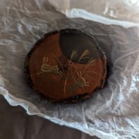 息をひそめて昼間を過ごす…まだ7月