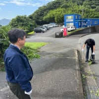 除草作業（本社）
