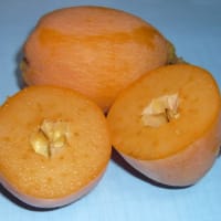 種無し　びわ　ゲット。