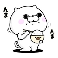 昨日はね保田小学校
