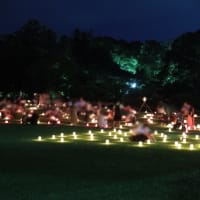 奈良　春日大社「万燈籠」＆「なら燈花会」