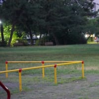 何が写っているかな？