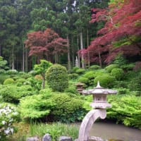 春の庭百景めぐり