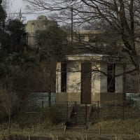 「詰合せ×5枚。」