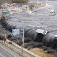 『半割れ』『東日本大震災死者の多く津波』『津波の知識不足』