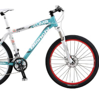 2011 Bianchi KUMa 5500