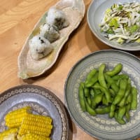 出張料理と元気の出る家ごはん