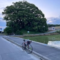 １時間ほど