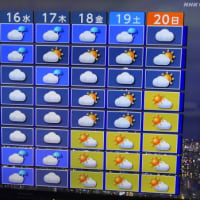 今週の予定　2025年7月13日（日）～2025年7月19日（土）