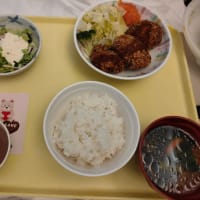 2025年2月14日(事故から81日 経過)