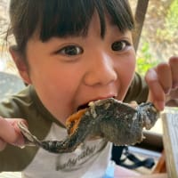 せせらぎ亭（２）
