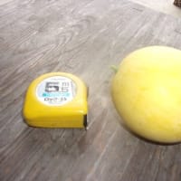少しは回復したかな