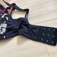 Ｇカップ