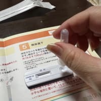 抗原検査キット