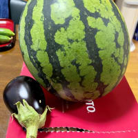 初夏の農産物・・・2025年7月
