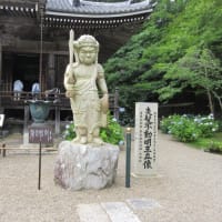 関西花の寺２５ゕ寺　第5日目　まずは　第1番札所　観音寺
