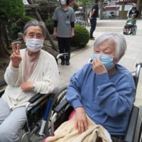 東樹院の花まつりに行きました