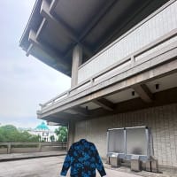 被告人となる。