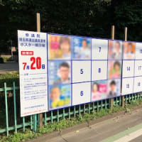 参議院議員選挙