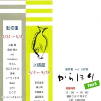 『水族館 からほり Part8』と『Miruka exhibition the birds return』