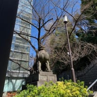 山王日枝神社の桜