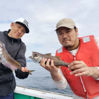 湘南の海へようこそ！ピュアアングラーズ湘南深場探検釣り教室　平塚喜楽丸・第３かりゆし丸