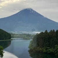 雲晴れて巡る富士山夢ごごち・・・富士山めぐりと信州春旅2025＜２＞