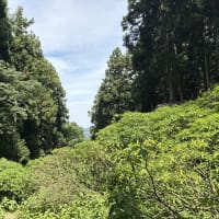 桃源郷ふたたび