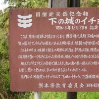 熊本県小国町「下城滝」