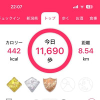 西海岸公園の噴水と八重桜を楽しみながら11,000歩達成‼️
