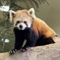 12月31日（2024年を振り返る）