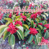 櫻井翔さん、お誕生日おめでとうございます！！！！！