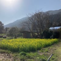 春がきた