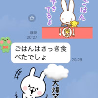 暑さのせい？