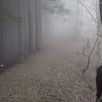 熊野古道　小辺路　踏破