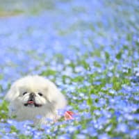 5月の4枚