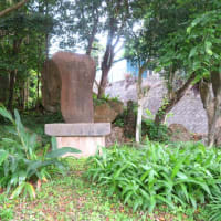 ８０年前に起こった日本軍による住民虐殺／軍隊は住民を守らない