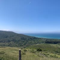 湿気でモノを思う