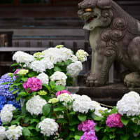 白山神社