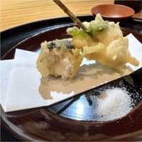一亭前川～山中温泉