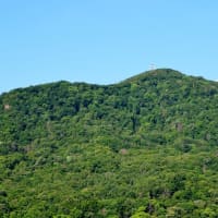 2025.07.12(土)AM07:08の藻岩山・平和祈念塔・手稲山・三角山・円山