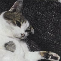 ちぃ、通院しました