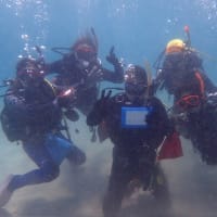 Summerが炸裂しております！最新ツアー情報を更新いたしました！