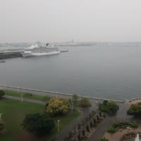 ホテルニューグランド　14　（神奈川県横浜市中区）