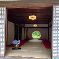 久々の鎌倉を堪能！　あじさい寺「明月院」　竹林「報国寺」