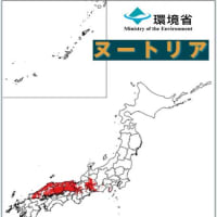 ヌートリアが兵庫県でひろがったわけ