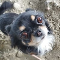庭の方があたたかい🤣