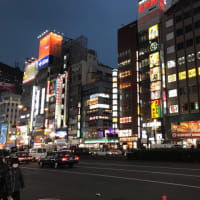 やっかいごとで新宿