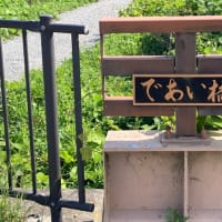 佐鳴湖への散歩