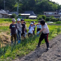 学童クラブ☆『農業体験』頑張りましたよ！